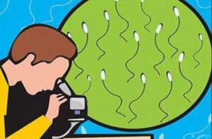 你的精子健不健康你知道吗?